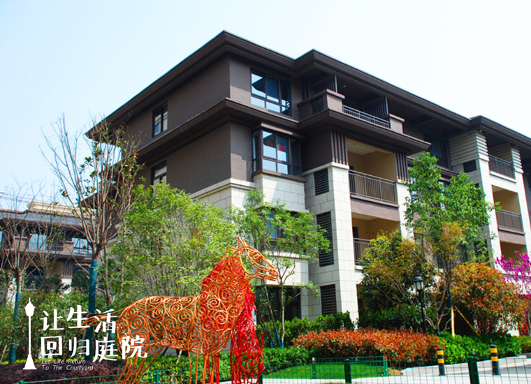 前后张望南阳50年：这样的天井，很难再有了！