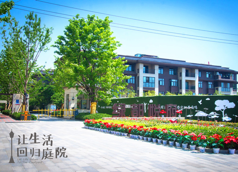 前后张望南阳50年：这样的天井，很难再有了！