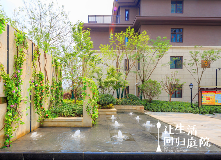 前后张望南阳50年：这样的天井，很难再有了！