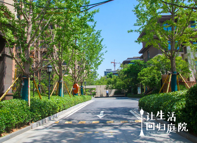 前后张望南阳50年：这样的天井，很难再有了！