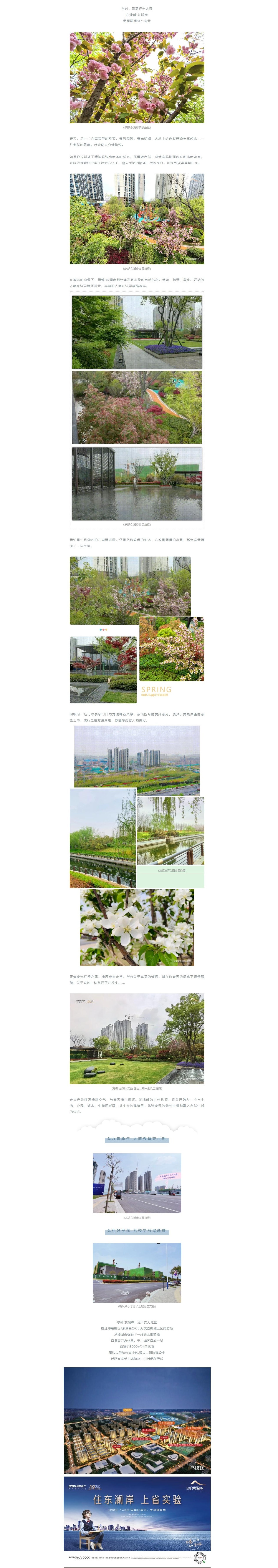 赏花踏青，来一场和春天的约会