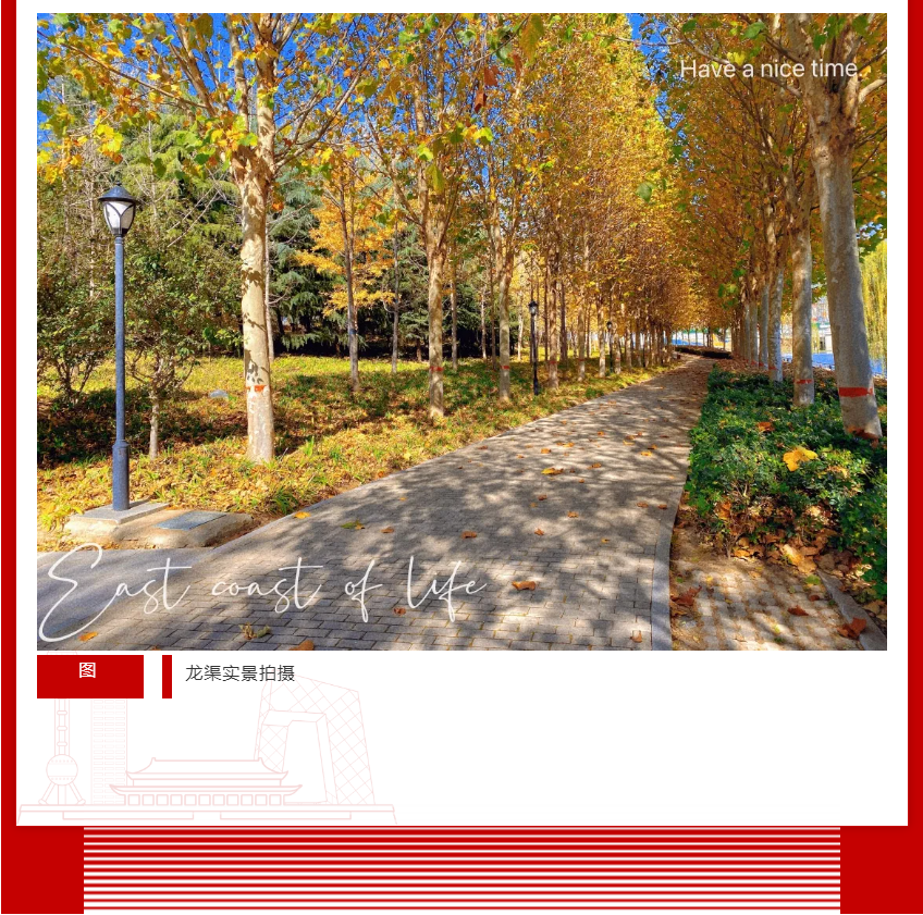 年终薅好房，这个明星红盘把“出圈”进行到底！